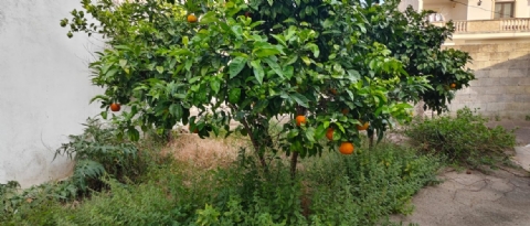 Casa Indipendente con giardino a 7 km dal mare e 9 km da Otranto